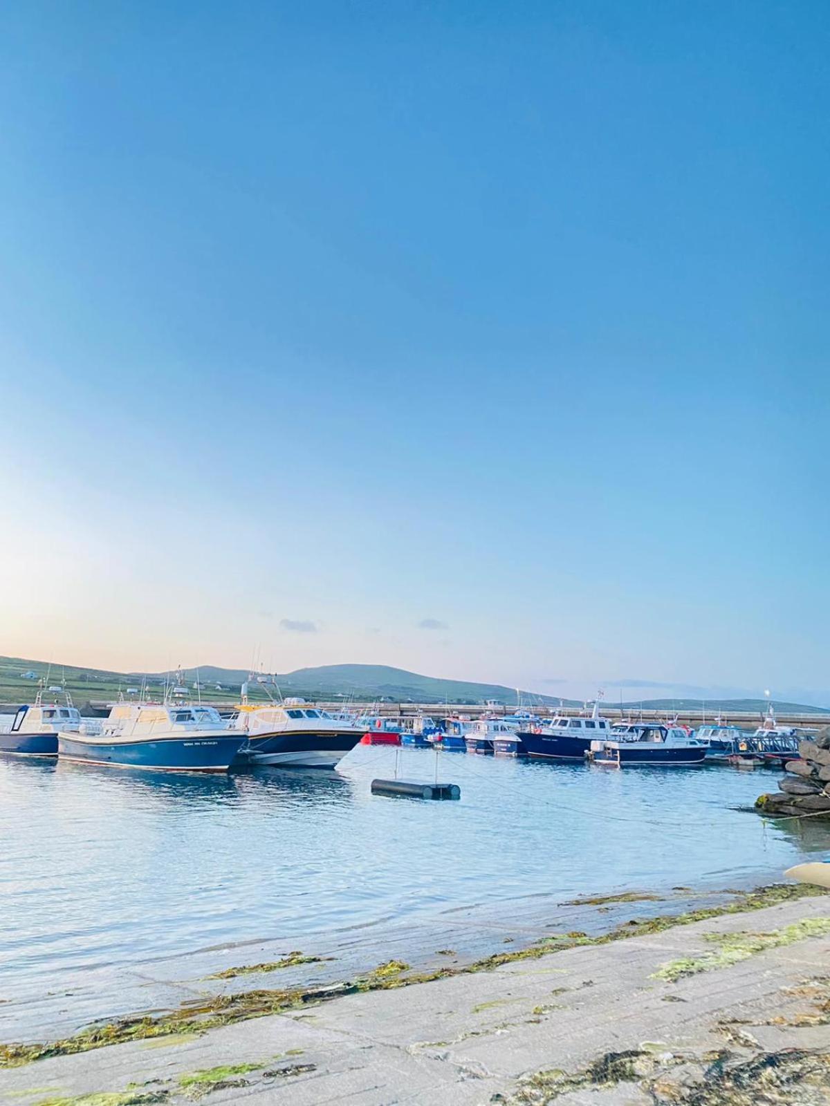 Valentia Skellig Rooms Knights Town Екстер'єр фото