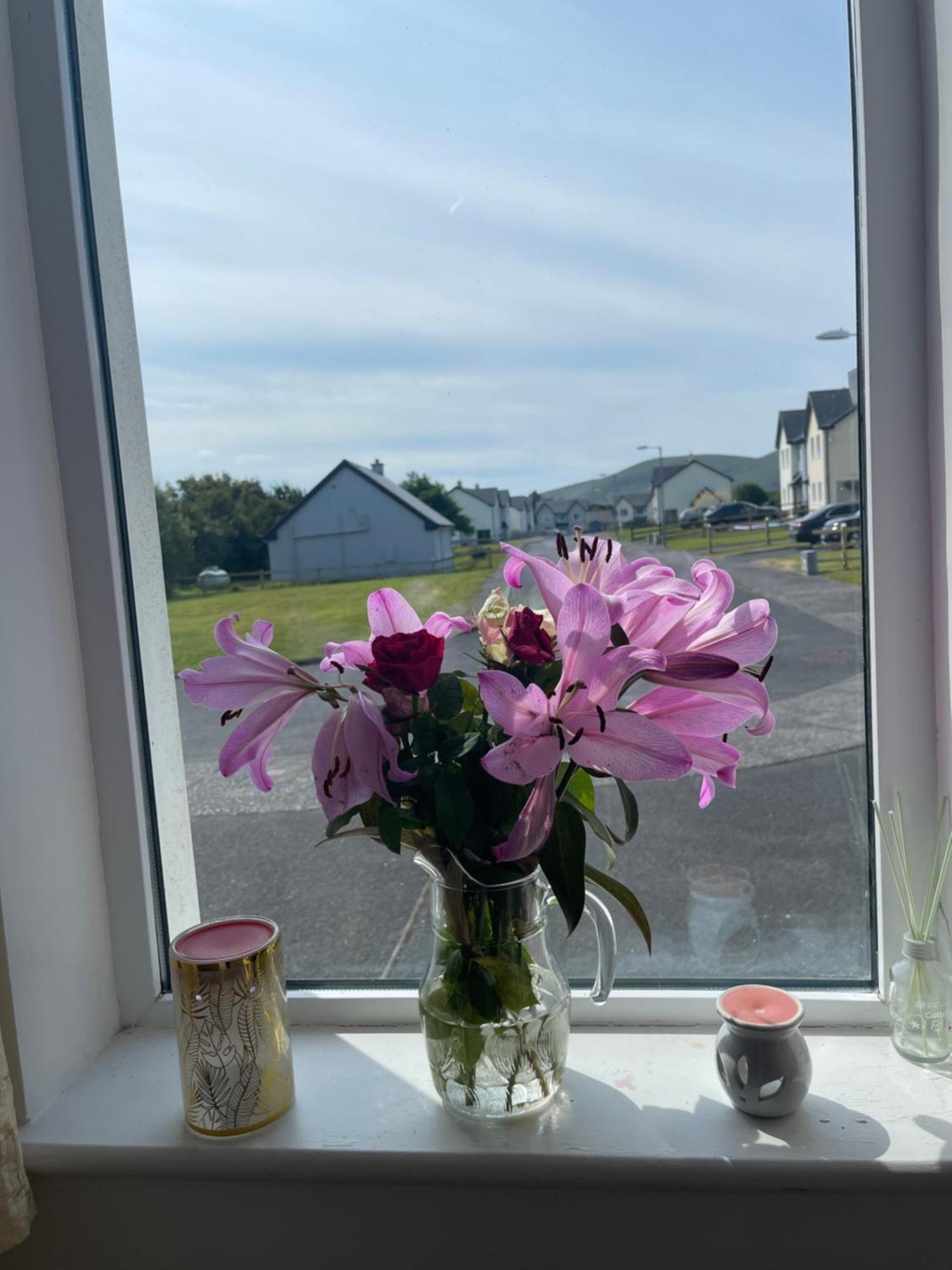 Valentia Skellig Rooms Knights Town Екстер'єр фото